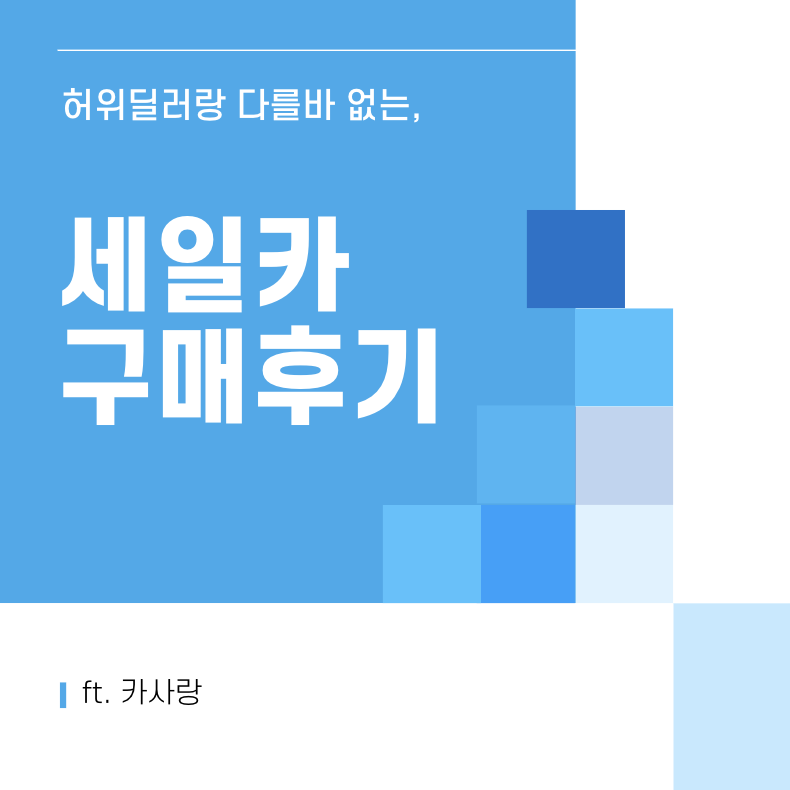 세일카 구매후기 썸네일