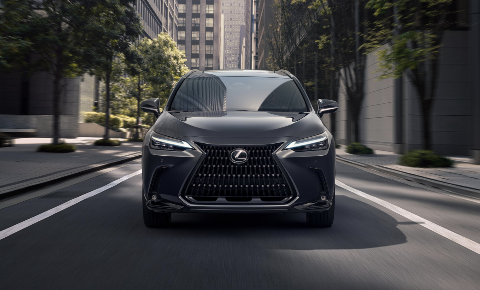 렉서스 NX350h 프리미엄 럭셔리 차이 썸네일