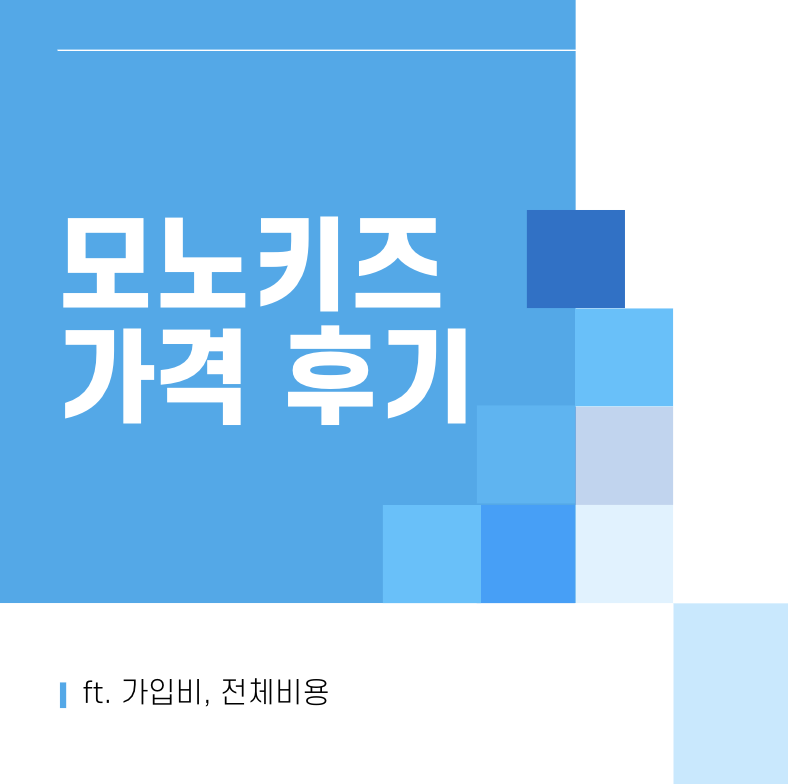 모노키즈 가격 후기 썸네일