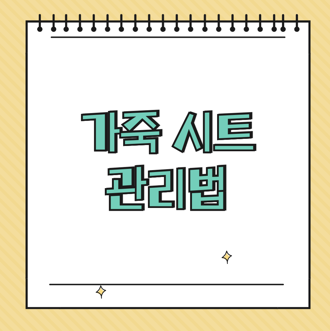 가죽 시트 관리법 썸네일